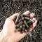 La madera de la biomasa del café de la capa doble granula la máquina 0.6m m 1500kgs/H
