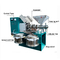 Máquina automática fría de la prensa de aceite 6YL 60 SS304 a prueba de herrumbre para la semilla del té