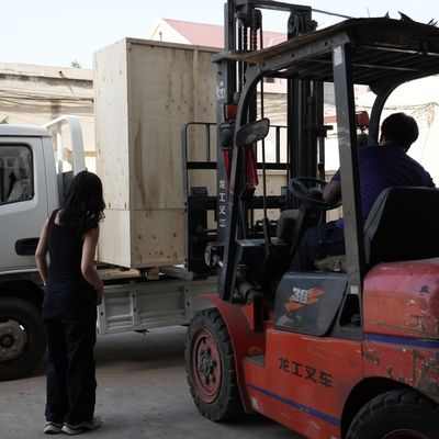 Pet Dog Cat Fish Feed Extrusora Animal Feed Pellet Machine para procesamiento de alimentos