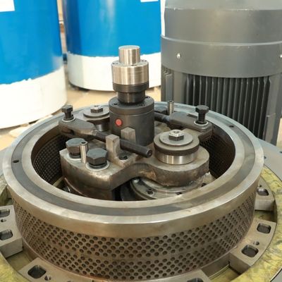 Pelotilla plástica del combustible biológico del bagazo de la alfalfa que hace la máquina 5000kg/H 2m m