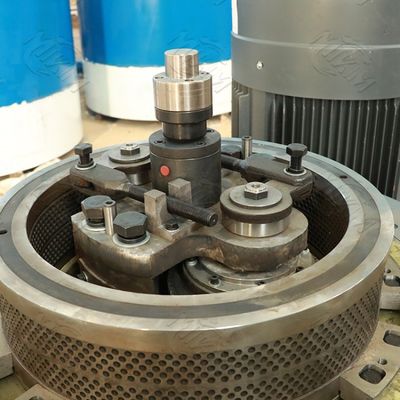 Molino conducido PTO 12m m de la pelotilla de la máquina del granulador de la alimentación de la nodulizadora del dado del plano del CE pequeño