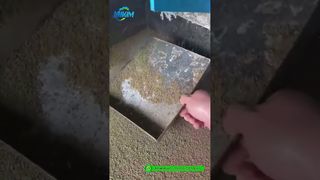 Molino de pellets para alimentación de camarones | Máquina de pellets de alimentación de demostración de producción de producto terminado en fábrica